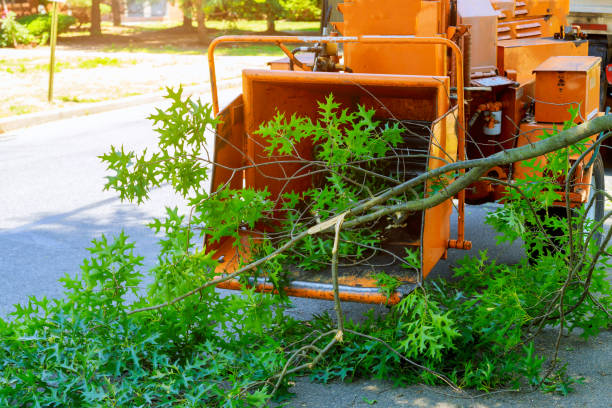 Best Weed Control  in Healdsburg, CA