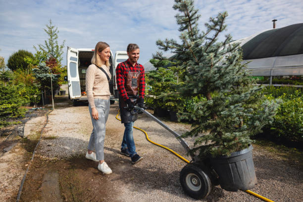 Best Tree Mulching  in Healdsburg, CA